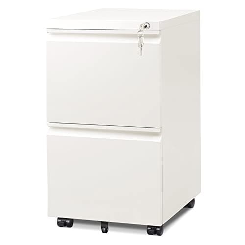 DEVAISE 2 Drawer Mobile File Cabinet with Lock, Commercial Vertical Cabinet, White