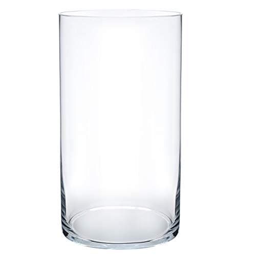 Royal Imports Flower Glass Vase Decorative Centerpiece for Home or Wedding - Cylinder Shape, 10" Tall, 5" Opening, Clear