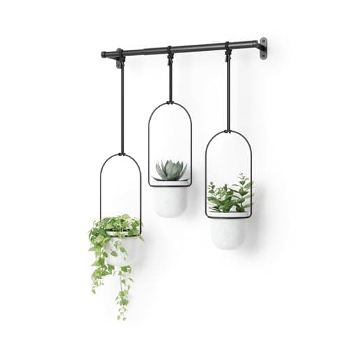 Umbra Triflora Hanging Planter for Window, Indoor Herb Garden, Set of 3, White/Black