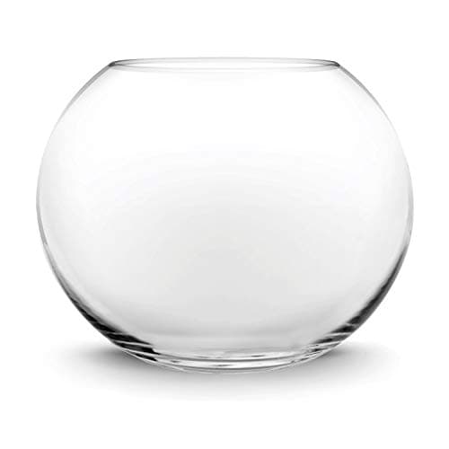 CYS EXCEL Glass Bubble Bowl (H-6" W-8", Approx. 3/4 Gal.) | Multiple Size Choices Fish Bowl Vase | Glass Round Bowl Terrarium | Globe Flower Vase Centerpiece