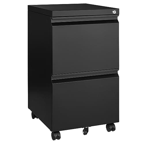 Letaya Mobile File Cabinet with Lock,2 Drawer Under Desk Metal Rolling Filing Cabinets for Home Office Organizer Letters/Legal/A4(Fully Assembled-Black)