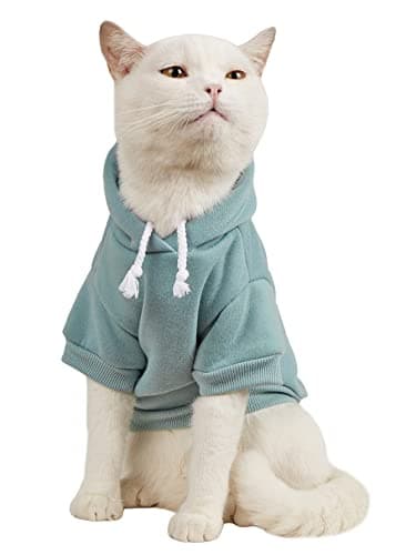 QWINEE Basic Dog Hoodie, Dog Warm Jacket, Cat Apparel, Dog Shirt, Dog Clothes for Puppy Kitten Small Medium Dogs Cats Cadet Blue S