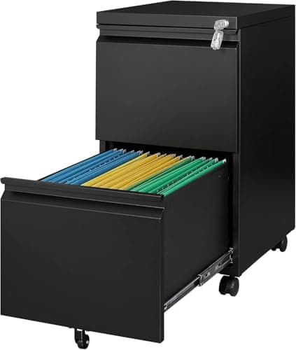 Letaya 2 Drawer Mobile File Cabinet with Lock, Under Desk Metal Rolling Filing Cabinets for Home Office Organizer Letters/Legal/A4 (Black- Requires Installation)