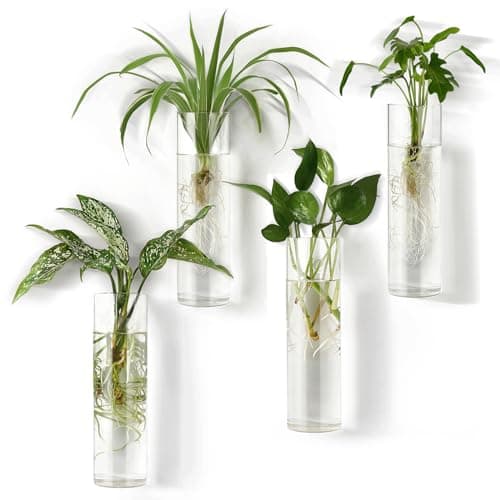 Mkono Propagation Station Wall Planter Hanging Glass Tubes Flower Vase for Hydroponics Plants, Bathroom, Home Office Living Room Decor Gift, Cylinder Set of 4