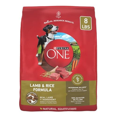 Purina ONE Dry Dog Food Lamb and Rice Formula - 8 lb. Bag