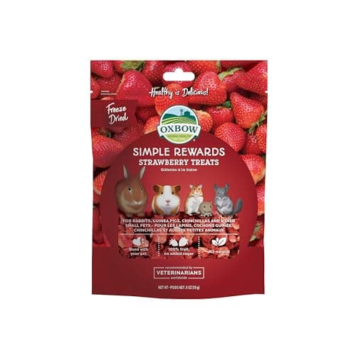 Oxbow Simple Rewards Small Pet Treats, Freeze Dried Fruit, Guinea Pig & Bunny Treats, Healthy Pet Fruit Snack for Rabbit & Guinea Pig, Freeze Dried Strawberries, 0.5 oz Bag