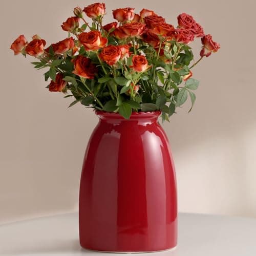 hjn Red Flower Vase- Ceramic Vase for Decor, White vase for Flowers, Modern Vases for Living Room/Home Decor Accents/Entryway/Mantel/Bookshel-Red