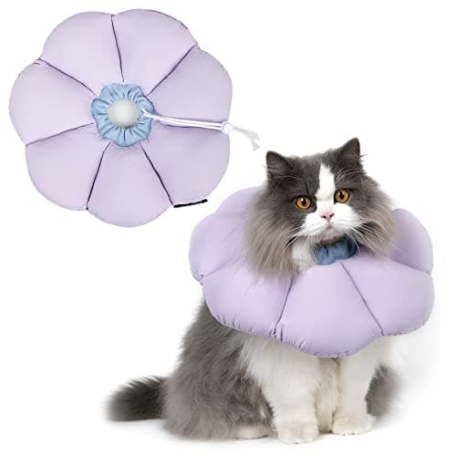 Best Cat Collars #7 from H HIDREAM Cat Cone Collar,Cute Waterproof Cat Recovery Collar,Anti-Bite Lick Wound Healing Safety Elizabethan e Collar for Cats,Purple Flower All-Season Style…