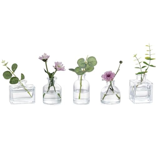 Glasseam Small Glass Bud Vases: Mini Clear Vases for Centerpieces Cute Flower Vase Set of 5 Tiny Vases for Flowers Decorative Centerpiece Vases for Table Decor Wedding Party Dining Room Decoration