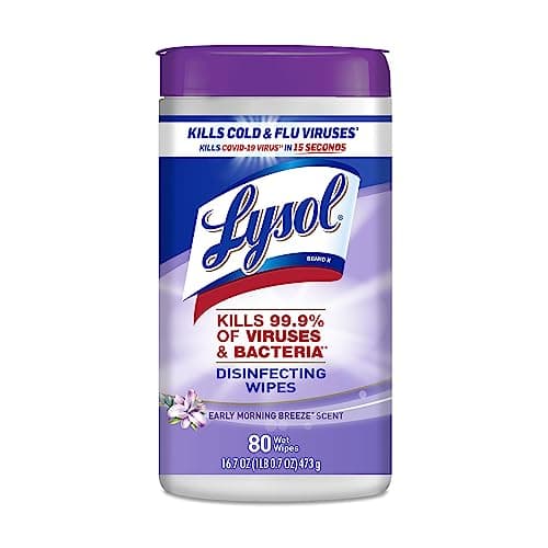 Lysol Disinfectant Wipes, Multi-Surface Antibacterial Cleaning Wipes, For Disinfecting and Cleaning, Early Morning Breeze, 80 Count (Pack of 1)