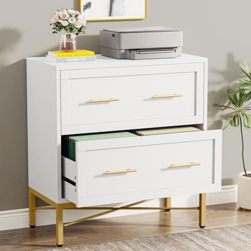 Tribesigns Modern White 2 Drawer File Cabinet, Lateral Filing Cabinet for Letter/Legal/A4 Size, Wood File Storage Cabinets Printer Stand with Storage for Home, Office, White and Gold