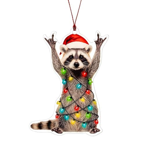 Racoon Christmas Ornament, Christmas Ornaments 2025, Funny Raccoon Gifts for Women Animal Lovers, Animal Gifts for Family, Friends, Coworker, Raccoon Ornament Christmas Decorations
