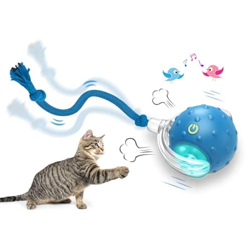 Giociv Interactive Cat Toys Ball for Indoor Cats Fast Rolling on Carpet, Chirping & Motion Activate Cat Toys (Blue)