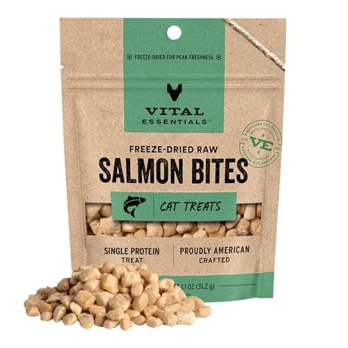 Vital Essentials Salmon Bites Cat Treats, 1.1 oz | Freeze-Dried Raw | Single Protein | Grain Free, Gluten Free, Filler Free