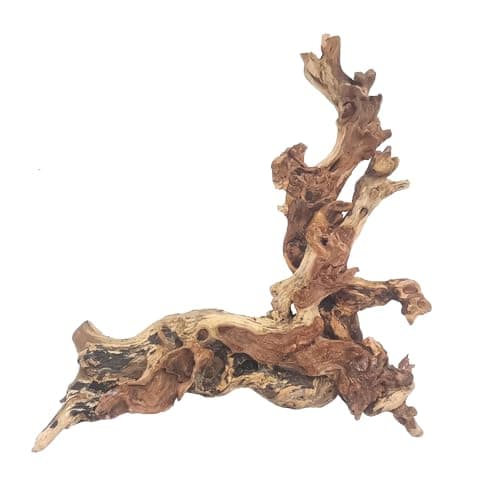 Hamiledyi Aquarium Driftwood, Natural Large 7-15in Coral Driftwood for Aquarium Decor Reptile Tank Decor Terrarium Ornament Wood Branch Trunk Stump for Fish Betta Lizard