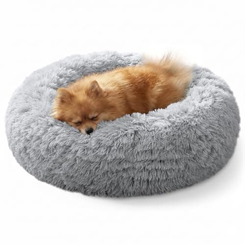 JOLLYVOGUE Calming Small Dog & Cat Bed for Indoor Cats - 20 inches Washable Donut Bed for Kittens & Puppies, Anti-Anxiety Round Fluffy Plush Pet Beds (Fits up to 15 lbs, Grey)