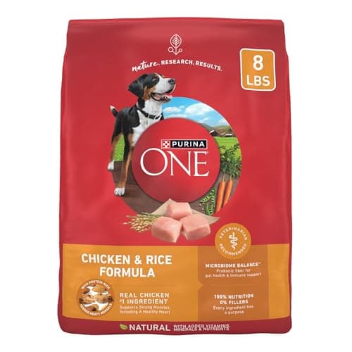 Purina ONE Chicken and Rice Formula Dry Dog Food - 8 lb. Bag
