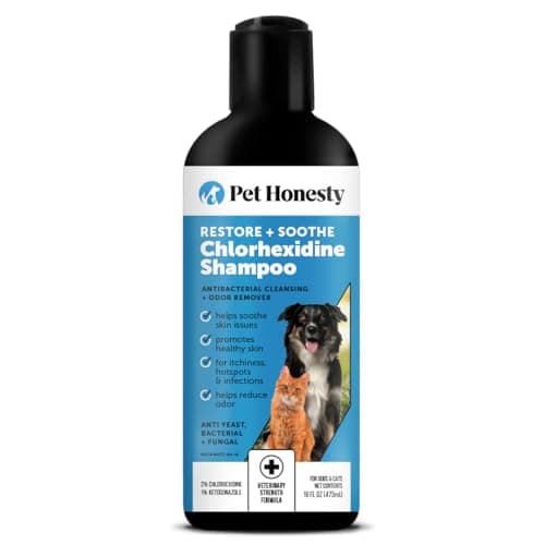 Pet Honesty Chlorhexidine Cat & Dog Seasonal Itch Relief Shampoo, for Allergies, Itching, Skin and Coat Supplement, Helps Shedding, Hot Spots, Deodorizing Dog Shampoo & Grooming Supplies,16oz