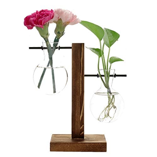 Feitore Glass Planter Bulb Vase, Desktop Plant Terrarium with Retro Solid Wooden Stand and Metal Swivel Holder for Hydroponics Plants Home Garden Office Wedding Decor - (2 Bulb Vase)