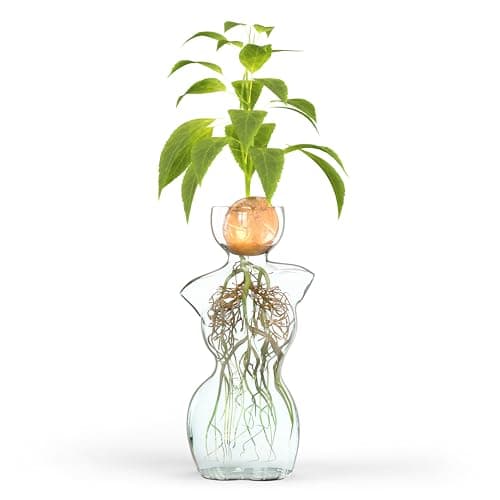 Elegant Female Silhouette Glass Vase by HMC for Plant Propagation and Flower Arrangements - Perfect for Seed Starting, Water Rooting, and Home Decor - Ideal for Avocado, Bulbs, and Plant Cuttings