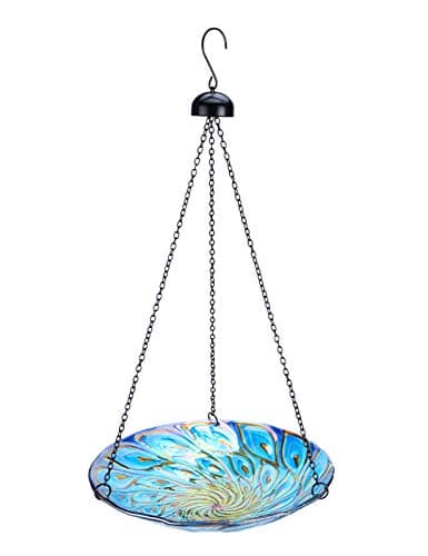 Best Bird Bathes #1 from MUMTOP MUMTOP 11 inch Hanging Bird Bath Glass BirdBath Peacock Outdoor Birdfeeder for Garden Yard Decoration