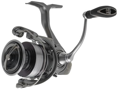 Daiwa EXCELER 3000 LT Spin Reel, 5BB + 1, 5.3 : 1