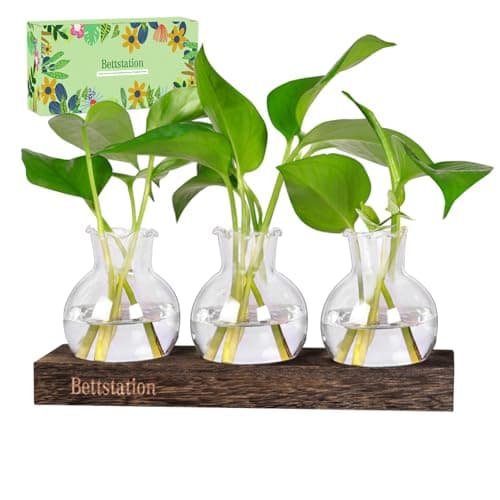 Bettstation Plant Propagation Station, Plants Terrarium with Wooden Stand Bulb Glass Vase Planter Gift for Plant Lovers Home Office Decor