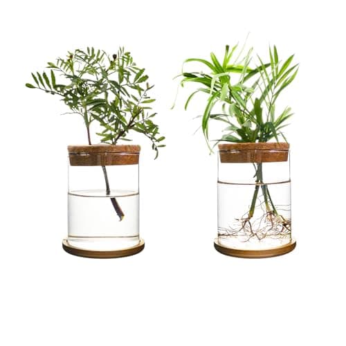 CHPINDAM Plants Propagation Stations,Separated Desktop Glass Flower Vase Set of 2,with Wooden Saucer,for Living Room and Bedroom, Decorative Vases for Wedding, Valentines' Day, Mother's Day (2)