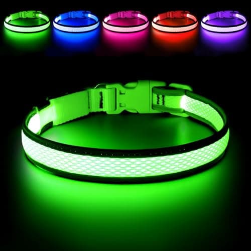Flashseen LED Dog Collar, Light Up Dog Collar Lights USB Rechargeable, Adjustable Comfortable Soft Mesh Safety Collar for Small, Medium, Large Dogs(Large, Neon Green)