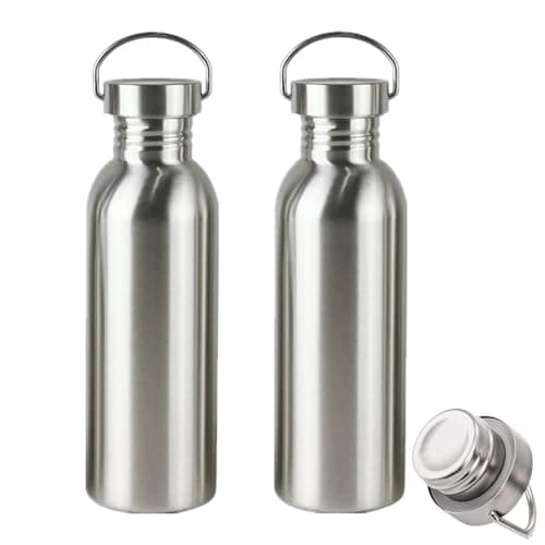 LyyGuanYoo 2 Pack 18/8 Stainless Steel Water Bottle, 26OZ Single Wall Sports Water Bottle for Camping Picnic, Metal Sports Kettle with Handle for Runners, Hikers, Cyclists
