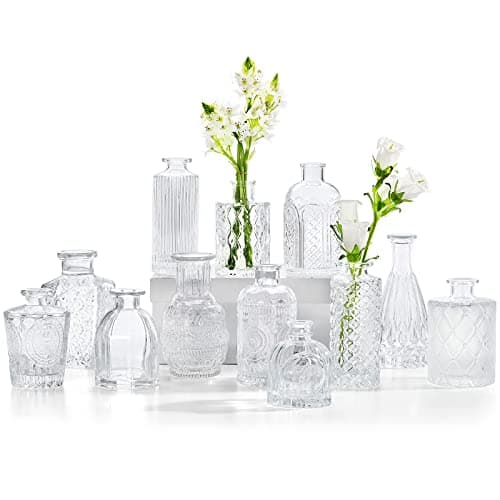 Glass Bud Vases Set of 12, Small Vases for Flowers, Clear Bud Vases in Bulk for Centerpieces Mini Vintage Vase for Rustic Home Wedding Table Decorations