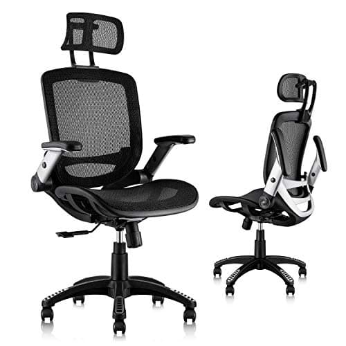 GABRYLLY Ergonomic Office Chair, High Back Home Desk Chair with Headrest, Flip-Up Arms, 90-120° Tilt Lock and Wide Cushion, Big and Tall Mesh Chairs for Man Woman, Black Task Chair