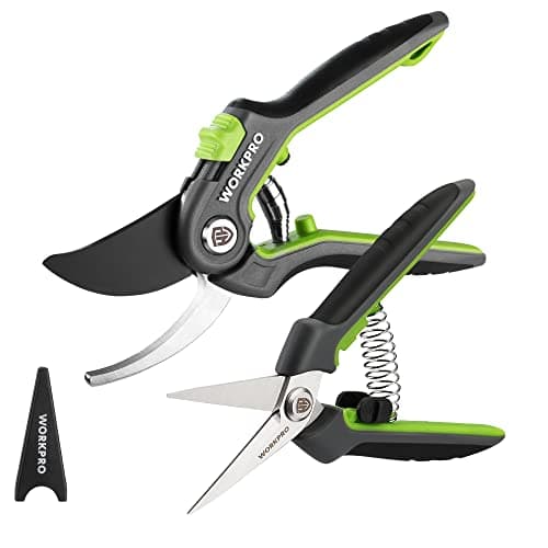 WORKPRO Garden Pruning Shears 2 Pack, 8" Bypass Pruning Shears and 6.25" Straight Garden Scissors, Premium Plant Shears, Garden Clippers Hand Tools for Cutting Flowers, Trimming Plants, Picking Fruits