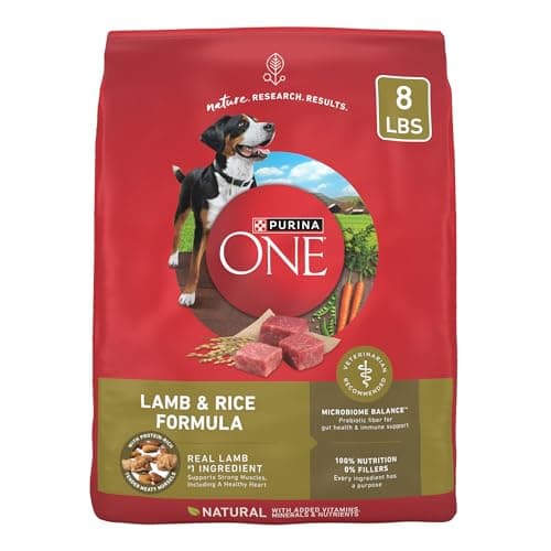 Purina ONE Dry Dog Food Lamb and Rice Formula - 8 lb. Bag