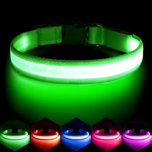 Vizpet LED Dog Collar, Light Up Dog Collar Adjustable USB Rechargeable Super Bright Safety Light Glowing Collars for Dogs(Medium,Green)