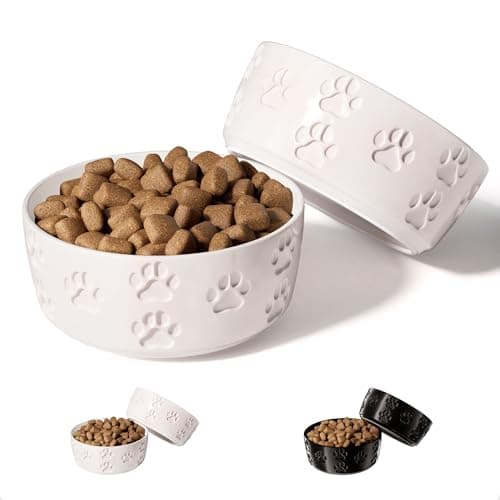 Ceramic Dog Bowl Set with Anti-Slip Rings - 5" Round x 2" Tall Set of 2 Ceramic Dog Bowls for Small Dogs - Small Dog Bowls - Dog Food and Water Bowl - White Dog Food Bowls - Dog Bowls Small Size Dog