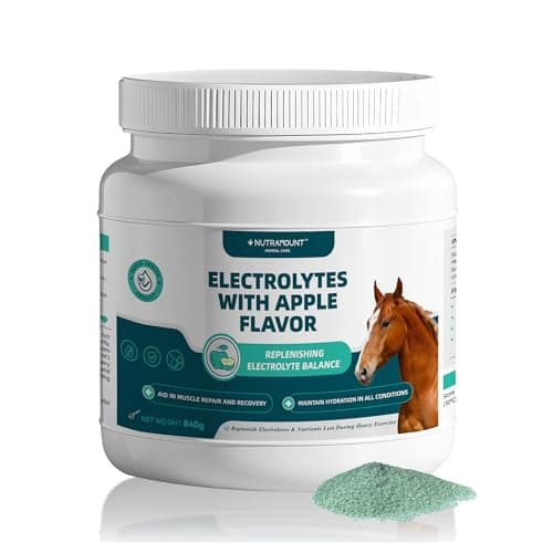 Nutramount Equine Electrolytes Supplement with Apple Flavor, Replenish Lost Minerals & Support Hydration for Horses During Training, Hot Weather or Travel – 840g
