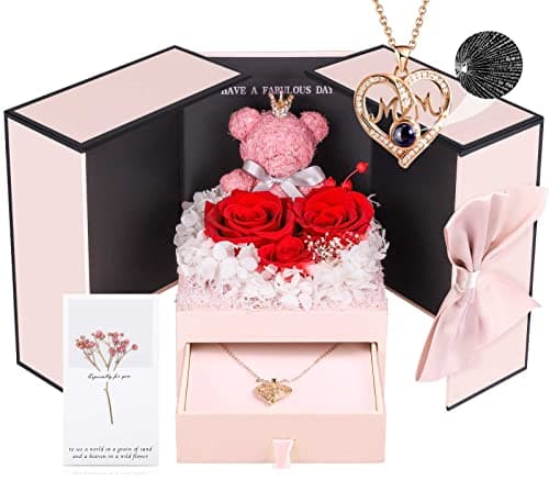 ADDWel Gifts for Mom from Daughter and Son, Unique Mother Birthday Xmas Gift Idea, Preserved Real Roses with I Love You in 100 Languages Mom Necklace, Cool to Mother Mama