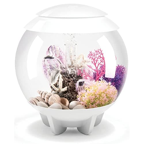 biOrb Halo 15 Acrylic 4-Gallon Aquarium with Multi-Color Remote-Controlled LED Lights Modern Compact Tank for Tabletop or Desktop Display, White