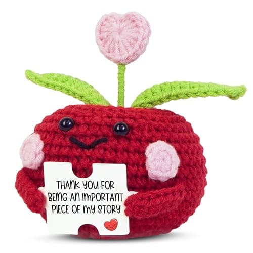 OASSIE Christmas Teacher Gifts for Women - Mini Positive Apple Crochet with Card - Appreciation Thank You Stocking Stuffers Birthday End of Year Gifts for Teacher, Graduation School Students Women