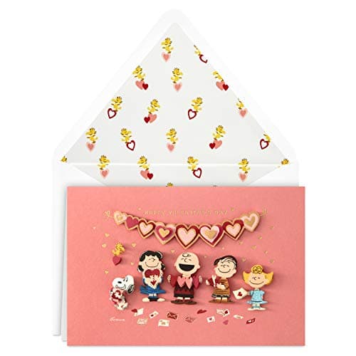 Hallmark Signature Peanuts Valentines Day Card (Handmade Valentines) (699VFE1134)