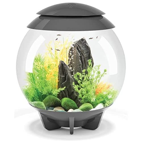 biOrb Halo 15 Acrylic 4-Gallon Aquarium with Multi-Color Remote-Controlled LED Lights, Gray