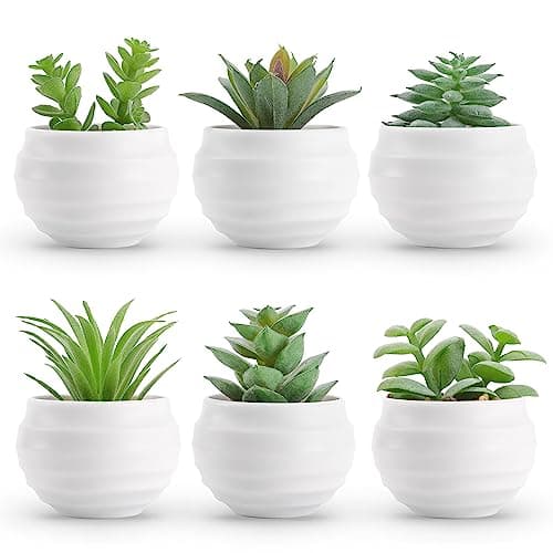 Der Rose Set of 6 Succulents Plants Artificial in Pots Small Fake Plants for Bedroom Aesthetic Living Room Shelf Bathroom Decor Office Desk Accessories