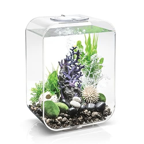 biOrb Life 15 Acrylic 4-Gallon Aquarium with White LED Lights Modern Compact Tank for Tabletop or Desktop Display, Transparent