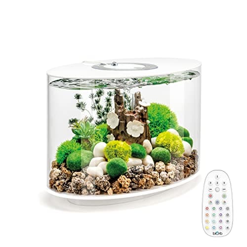 biOrb Loop 15 Acrylic 4-Gallon Aquarium with Multi-Color Remote-Controlled LED Lights Modern Compact Tank for Tabletop or Desktop Display, White-Trimmed Tank