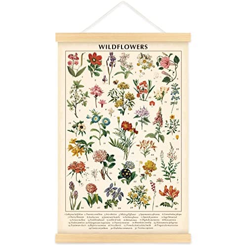 Vintage Wildflowers Poster Botanical Wall Art Prints Colorful Rustic Style of Floral Wall Hanging Illustrative Reference Flower Chart Poster for Living Room Office Bedroom Decor Frame 15.7 x 23.6 Inch