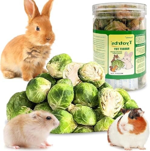 Tyotrbs Freeze Dried Brussels Sprouts Rabbit and Hamster Chew Treats Resealable Jar for Hamsters Bunny Guinea Pigs Groundhogs Natural Fiber Vitamin Snacks Hamsters, Chinchillas (M/ 2.12oz)