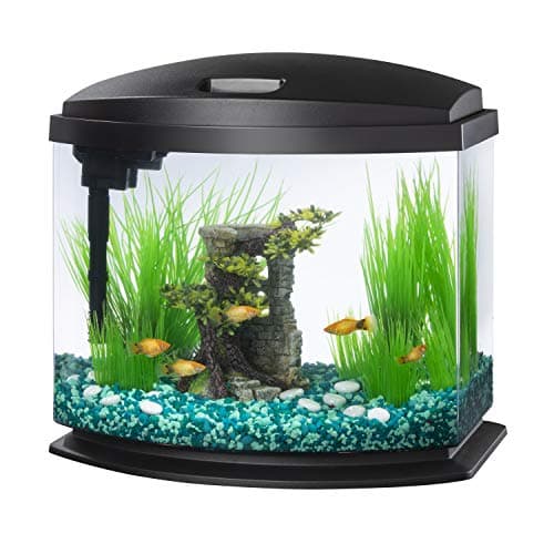 Aqueon LED MiniBow Small Aquarium Fish Tank Kit with SmartClean Technology, Black, 5 Gallon