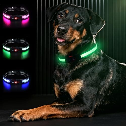 Bamda Light Up Dog Collar-Rechargeable & Long-Lasting Power LED Dog Collar Lights for Night Walking, Waterproof & Safety Glowing Collars for Large Dogs [Green-L]