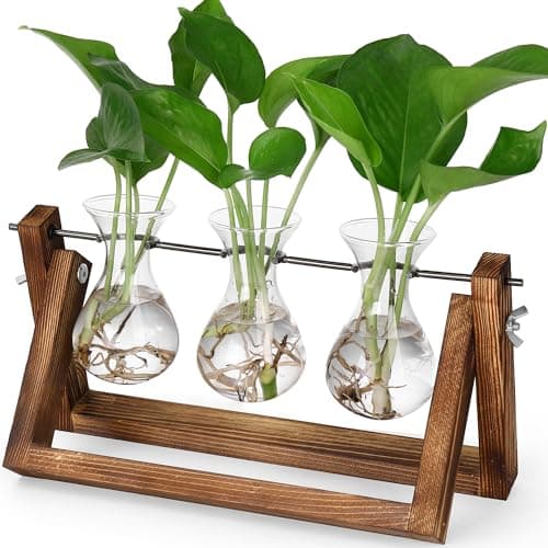 YIBOT Propagation Stations,Plant Terrarium with Retro Wooden Stand,Unique Gardening Birthday Gifts for Women Plant Lovers,Hydroponics Plants Home Office Garden Decor-3 Bulb Glass Vases